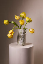Load image into Gallery viewer, Vessel 9 - 234
